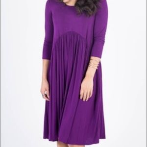 Agnes and Dora Plum Oakley dress! New!